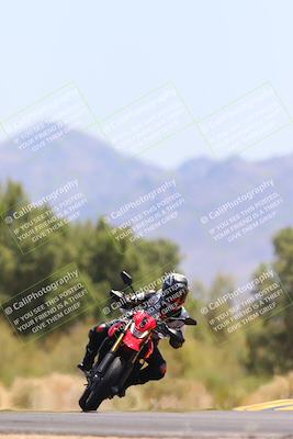 media/May-12-2024-SoCal Trackdays (Sun) [[ad755dc1f9]]/12-Turn 7 (1150am)/